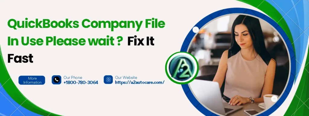 QuickBooks company file in use please wait